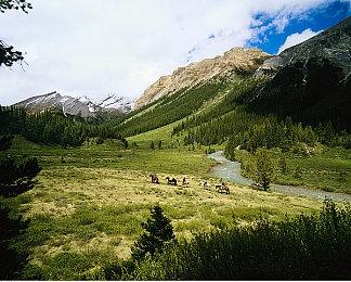 卡普空《原始袭变》媒体评分解禁 M站均分64